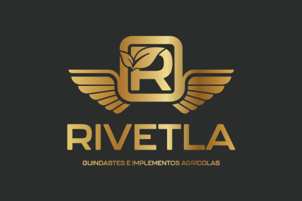 Altevir Seidel destaca como as estruturas metálicas reduzem impactos ambientais e aumentam a eficiência na construção civil.