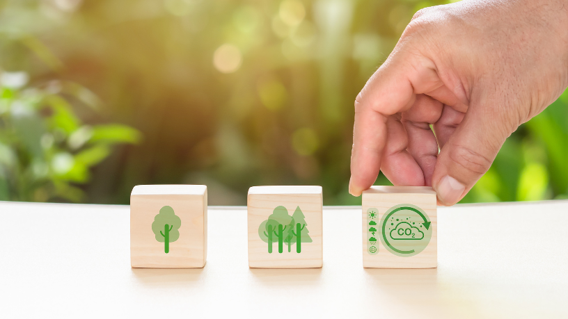 Ao apostar em embalagens sustentáveis, Elias Assum Sabbag Junior destaca por que o plástico corrugado reciclado vem ganhando cada vez mais espaço na indústria.